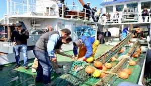 Réorganisation de la formation professionnelle : installation d’une commission cette semaine