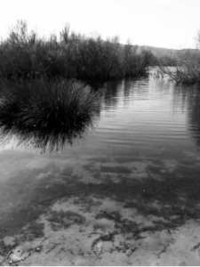 Le lac menacé d'ensablement