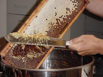 Algérie - Baisse de moitié de la production nationale de miel en 2012