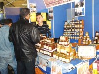 Forum méditerranéen de l'apiculture à Ghardaïa : le miel algérien à la conquête des marchés extérieurs