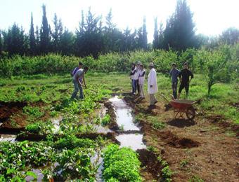 توسيع محيط السقي الفلاحي لمنطقة سدراتة بسوق أهراس