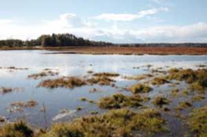 Célébration de la Journée mondiale des zones humides