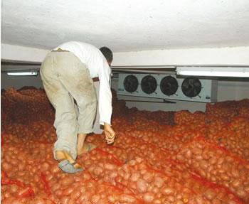 Les explications de Sellal