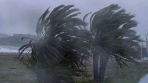 26 تدخلا للحماية المدنية يوم الأحد بعد سقوط 18 شجرة و 3 بيوت قصديرية جراء الرياح القوية عبر العاصمة