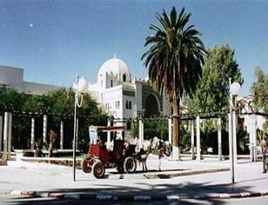 بسكرة تتحول صيفا إلى مدينة أشباح والعائلات تنزح نحو الساحل