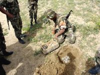 Destruction de 95 % des mines des frontières est et ouest de l'Algérie