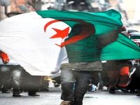 Un documentaire sur l'histoire de l'emblème national en tournage à Ain Temouchent