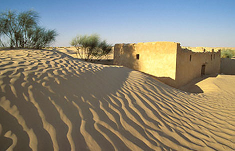 مشاريع ‬بالملايير ‬للقضاء ‬على ‬ظاهرة ‬التصحر ‬بأدرار