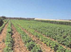 POUR DEVELOPPER L'AGRICULTURE