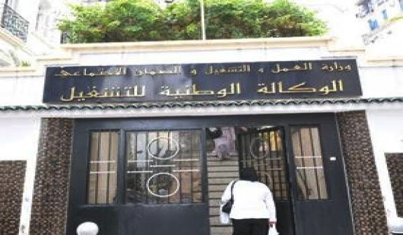 إدانة المدير الجهوي لوكالة التشغيل بتهمة تزوير شهادة البكالوريا في وهران