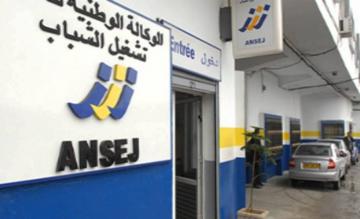 استفادة 41 من خريجي المؤسسات العقابية من قروض مصغرة بتيزي وزو