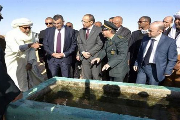 مشاريع استثمارية جديدة بولاية ورقلة