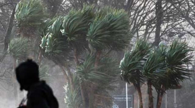 26 تدخلا للحماية المدنية بسبب الرياح في العاصمة