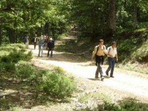 Béjaïa : première édition du festival de l'Akfadou