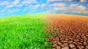 تخصيص 67 مليون دينار لمكافحة التصحر بأدرار