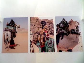 Richesse, biodiversité et beauté