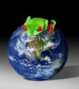 Planète - L'humanité menacée par une perte de la biodiversité