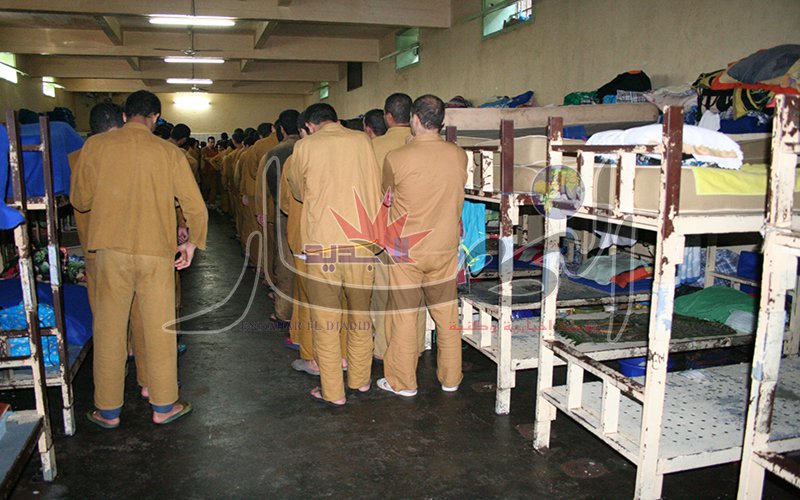 استفادة 41 من خريجي المؤسسات العقابية من قروض مصغرة بتيزي وزو