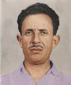 Des critiques oiseuses