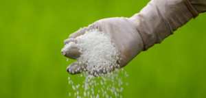 ما هي اليوريا في الدم