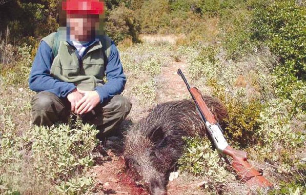 Des agriculteurs requièrent des autorisations pour l'organisation de battues contre les sangliers