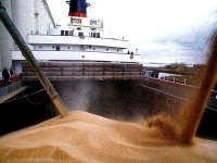 La facture d'importation des céréales réduite de moitié en 2012 (responsable)