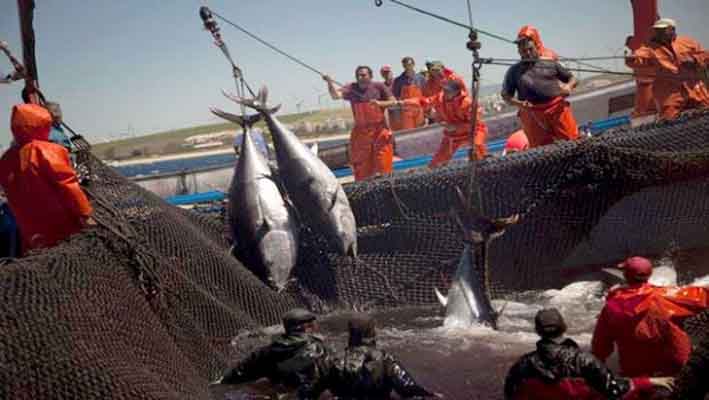 Pêche à la dynamite