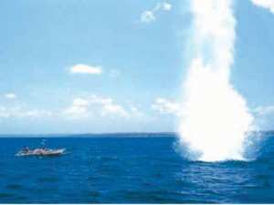 Cinq ports seulement se conforment à la loi