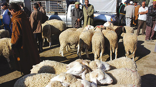 Les éleveurs dans la tourmente