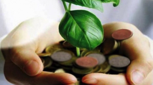 Un comité de pilotage pour le développement de l'économie verte à Es-Senia