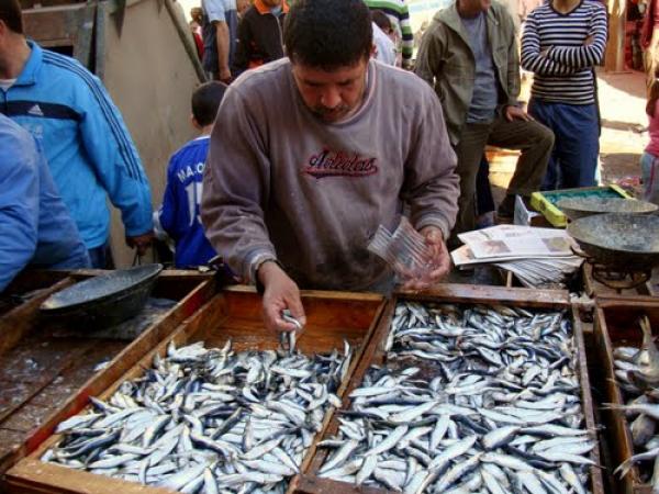 الشلفيون مستاءون من ارتفاع أسعار السردين