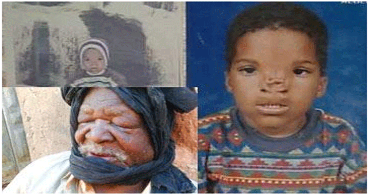 وزير المجاهدين من إليزي