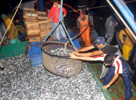 9 ملفات ثقيلة للاستثمار في الصيد البحري بسكيكدة