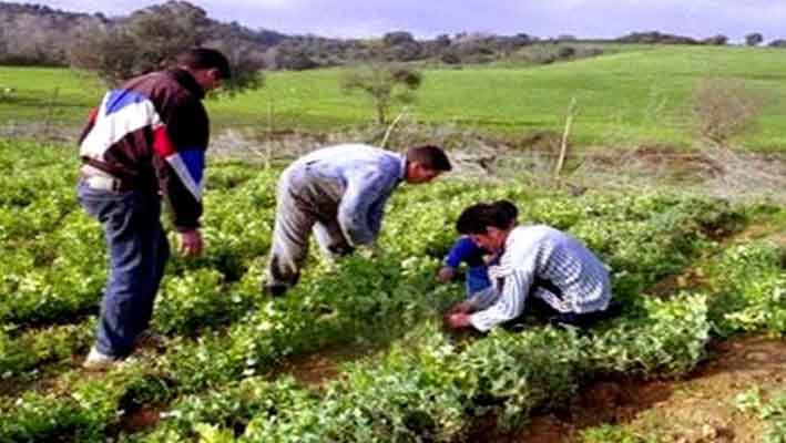 Tizi Ouzou Convention entre le CAME et GAM