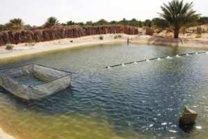 Atelier de formation dans l'aquaculture