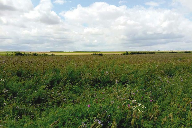Vers la récupération de 5 000 ha par an