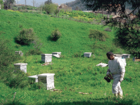 Forte demande pour les métiers de l'agriculture