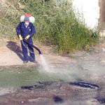 تسخير 5 فرق لمكافحة الباعوض بالأحياء                                    رئيس مصلحة النظافة بجسر قسنطينة يكشف: