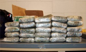 تفكيك 3 شبكات دولية لتهريب المخدرات بتلمسان منذ بداية السنة الجارية