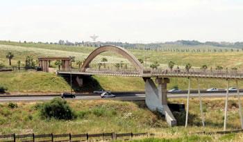 Un peu de vert dans le bitume