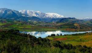 Sidi Amar (ex- Zurich), est une commune de la wilaya de Tipaza