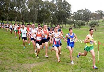 Six Algériens en lice le 26 février