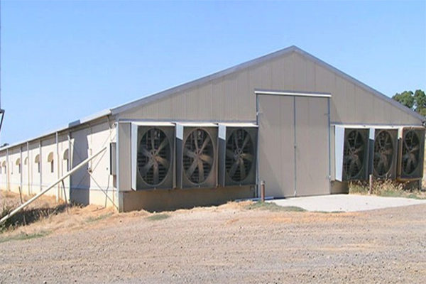 احتراق مدجنة واختناق 3 أشخاص في حرائق متفرقة بتيزي وزو