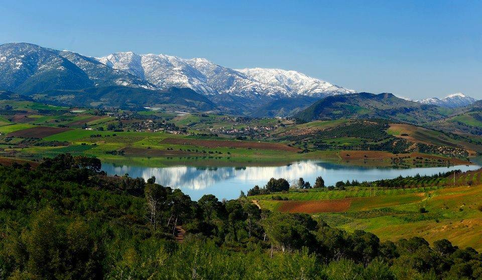 Sidi Amar (ex- Zurich), est une commune de la wilaya de Tipaza