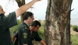 إطلاق عملية إعادة تأهيل غابة مزبال ببسكرة