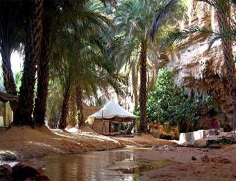 واحات النخيل ببسكرة مهددة بسبب انقطاعات الماء والكهرباء                                    تزامنا مع هروب اليد العاملة صيفا نحو المدن الساحلية