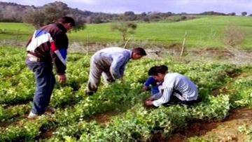 تنصيب اللجنة الولائية لمراقبة الإنتخابات بغليزان