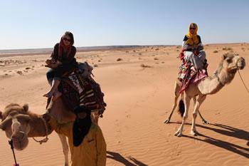 L'opération démarre à Alger