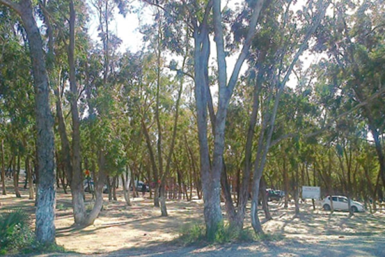 ارتفاع المساحات الخضراء ببلدية وهران إلى 250 هكتارا