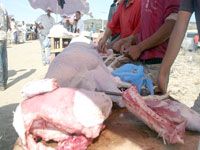 SETIF                                    La viande vendue en plein air aux marchés hebdomadaires